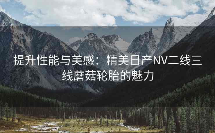 提升性能与美感：精美日产NV二线三线蘑菇轮胎的魅力