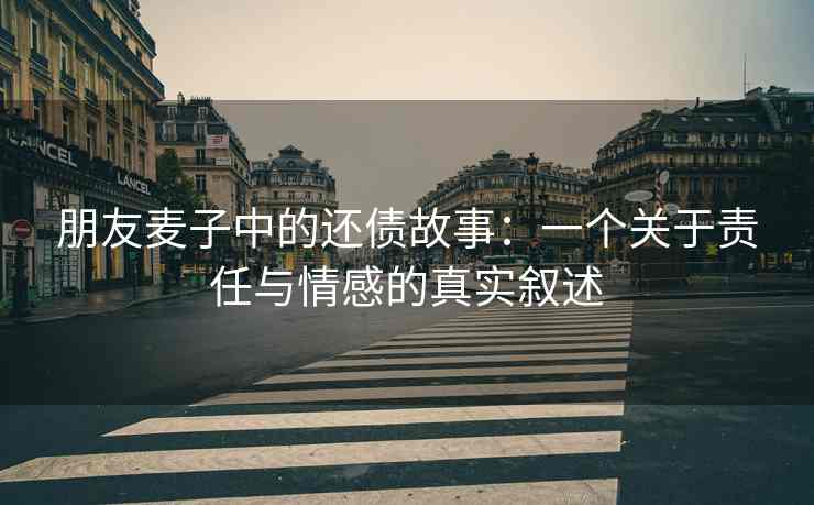 朋友麦子中的还债故事：一个关于责任与情感的真实叙述