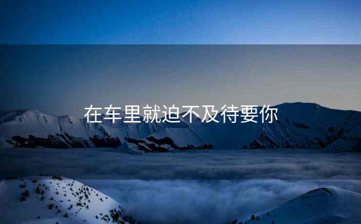 在车里就迫不及待要你