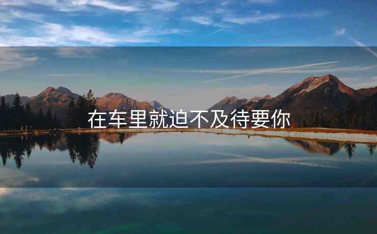 在车里就迫不及待要你