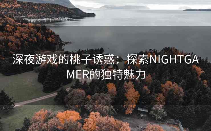 深夜游戏的桃子诱惑：探索NIGHTGAMER的独特魅力