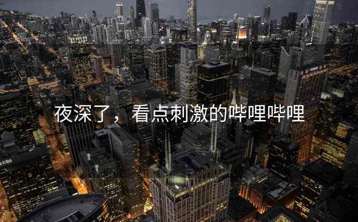 夜深了，看点刺激的哔哩哔哩