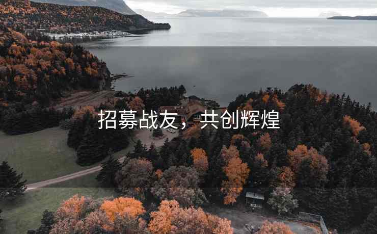 招募战友，共创辉煌