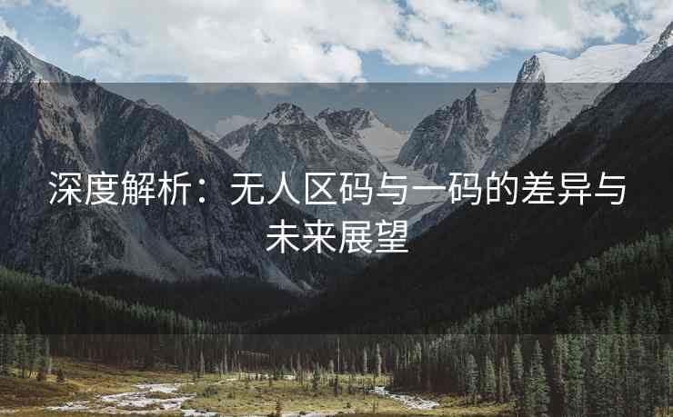 深度解析：无人区码与一码的差异与未来展望