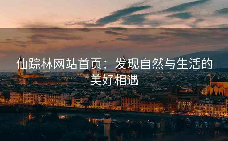 仙踪林网站首页：发现自然与生活的美好相遇