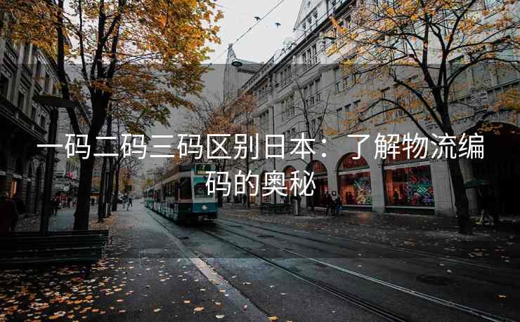 一码二码三码区别日本：了解物流编码的奥秘