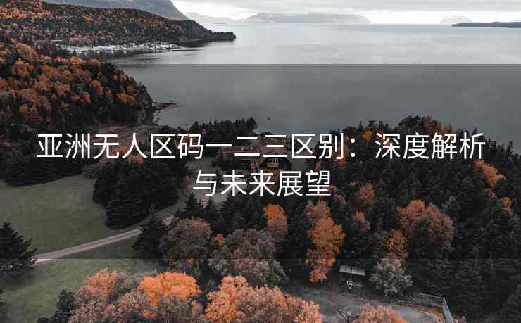 亚洲无人区码一二三区别：深度解析与未来展望