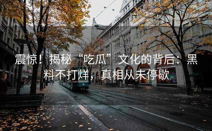 震惊！揭秘“吃瓜”文化的背后：黑料不打烊，真相从未停歇